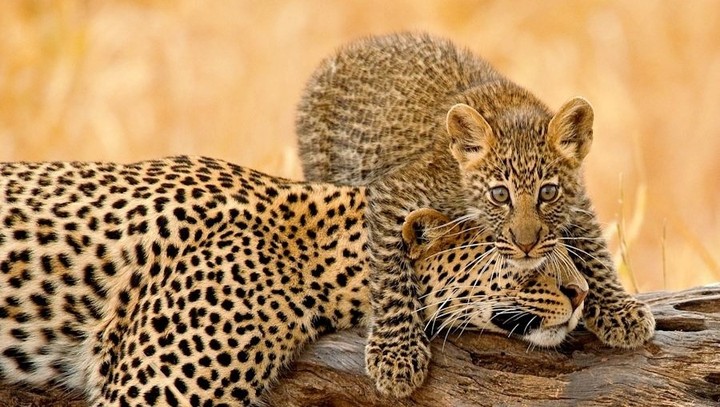 Kind of Water Provided for Tanzania Safari – Is It Safe to Drink?