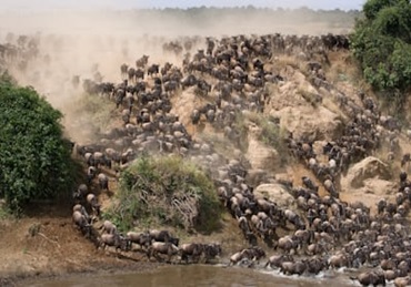 10-day luxury Safari in Tanzania