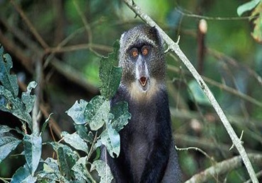 3 Day Luxury Safari in Tanzania