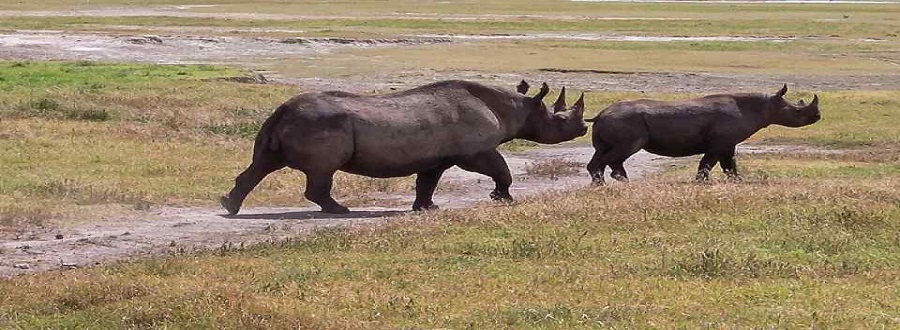 Tanzania safari landscape on a northern circuit journey