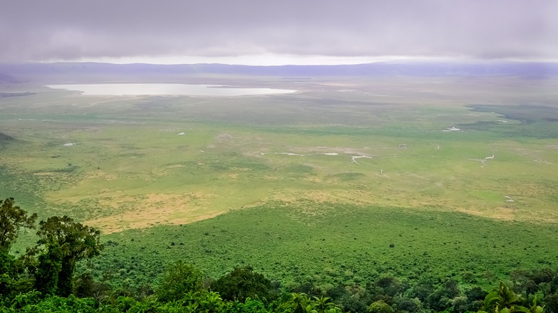 Luxury Safari in Tanzania