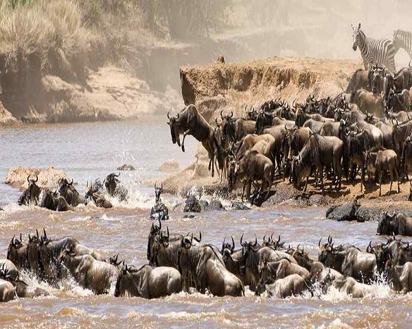 Tanzania safari landscape on a northern circuit journey
